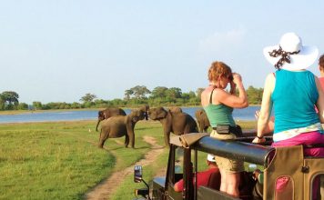 Murchison falls National Park Safari Uganda Murchison falls National Park Safari Uganda