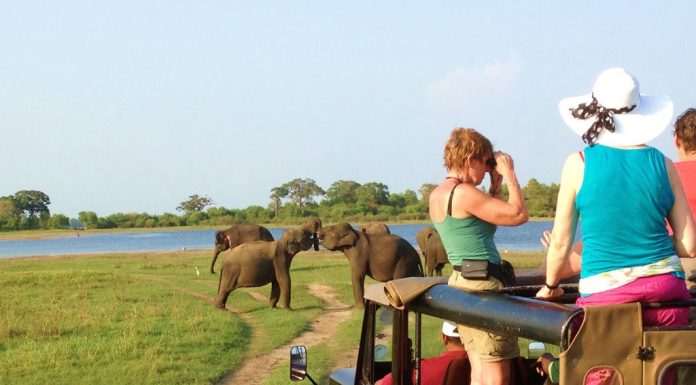 Murchison falls National Park Safari Uganda