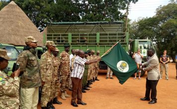 Uganda wildlife to translocate giraffes from Murchison Falls to Kidepo Valley National Park. Uganda-wildlife-to-translocate-giraffes-from-murchison-falls-to-kidepo-valley-national-park