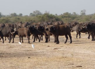 Queen Elizabeth National Park Queen Elizabeth National Park