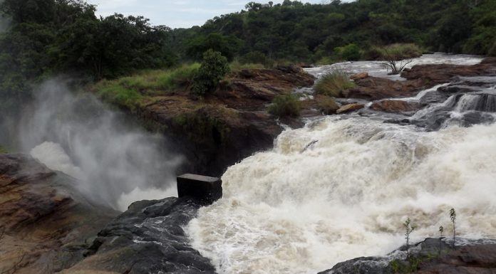 Murchison falls threatened: Proposed sight for constructing the Hydro power plant Murchison falls threatened: Proposed sight for constructing the Hydro power plant
