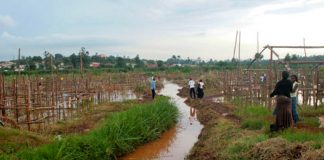 Kampala at risk of flooding as investor takes over Lubigi