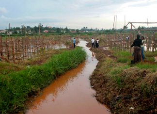 Kampala at risk of flooding as investor takes over Lubigi Kampala at risk of flooding as investor takes over Lubigi