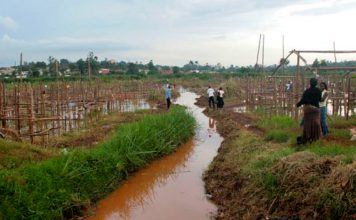 Kampala at risk of flooding as investor takes over Lubigi Kampala at risk of flooding as investor takes over Lubigi