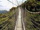 Rwanda’s Nyungwe canopy walk reopens after completion of maintenance works Rwanda's Nyungwe canopy walk reopens after completion of maintenance works