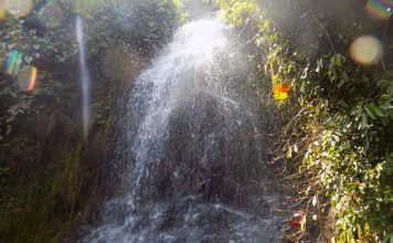 Kalangala`s chances of tourism are yet to change because of a new Cultural Museum Kalangala`s chances of tourism are yet to change because of a new Cultural Museum